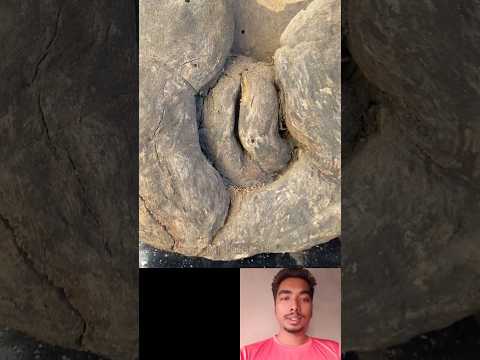 Funny wood piece 😱 | respect 💯 |#shorts #reaction