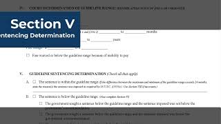 Statement of Reasons Instruction