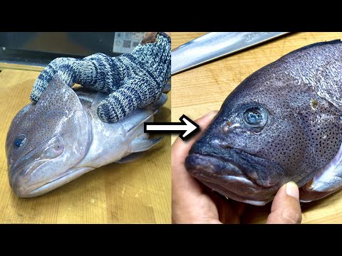 【ゾンビ化魚】1kg5000円の希少高級魚を10日寝かせて食う！