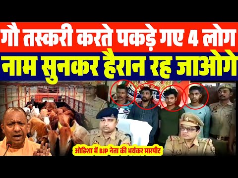 गौ तस्करी करते पकड़े गए 4 लोग | नाम सुनकर हैरान रह जाओगे | ओडिशा में BJP नेता की...| OJNEWS
