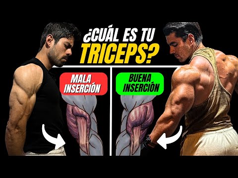 Tus TRÍCEPS deciden si tendrás BRAZOS ENORMES (y no lo sabías)