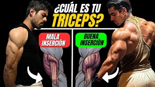 Tus TRÍCEPS deciden si tendrás BRAZOS ENORMES (y no lo sabías)