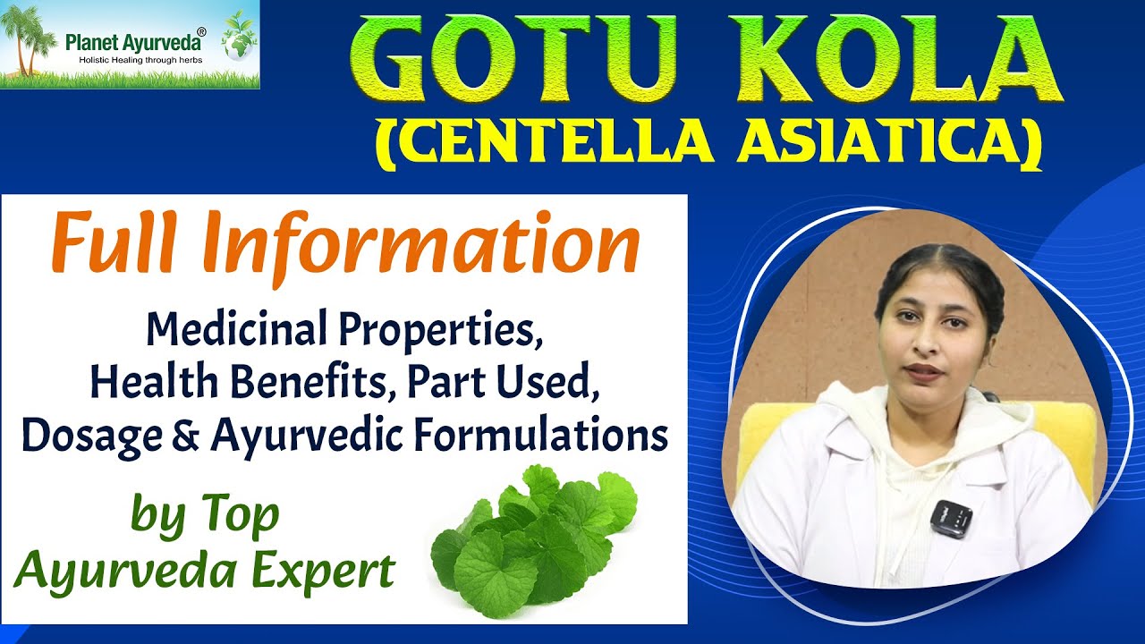 Watch Video Gotu Kola (Centella asiatica) Full Information-Medicinal Properties, Health Benefits, Dosage & More