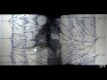 Bacterial Resistance and Mutations