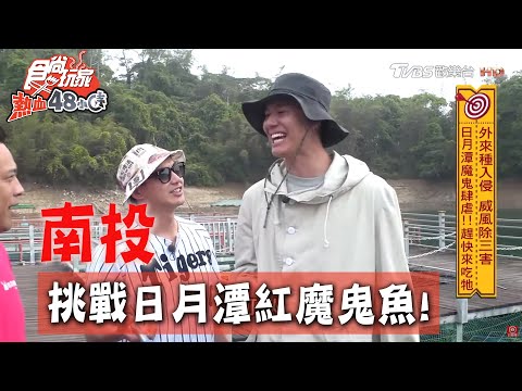 【南投】日月潭紅魔鬼魚肆虐生態！趕快來吃牠！【食尚玩家熱血48小時】20200511 (4/4)