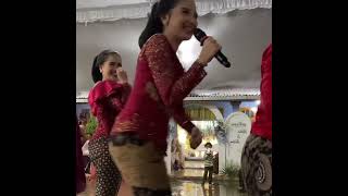 17 Desember 2024