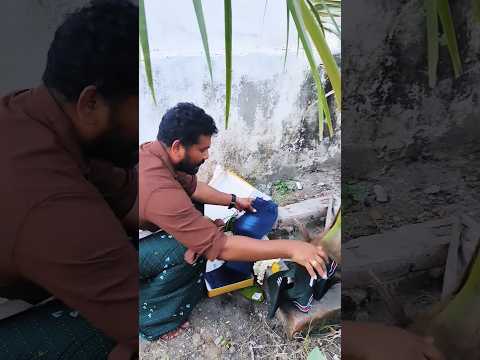 திரும்ப நீ எனக்கு வேண்டும் ? | | Happy birthday Suban ?