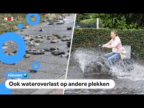 Drollen op straat in Zandvoort door overstroomd riool