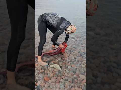#fishing #coral