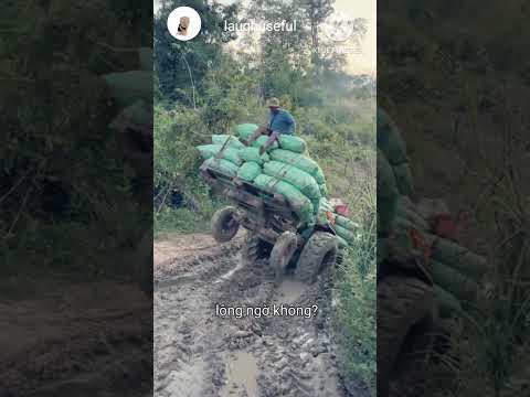 Máy cộ không chuyên cố gắn vùng lên