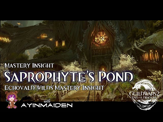 GW2 - Echovald Wilds Insight: Saprophyte's Pond