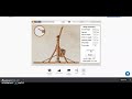 Trebuchet Design and Mechanics