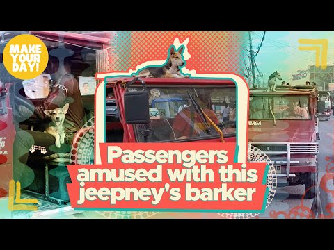 Passengers amused with this jeepney's barker | Make Your Day | Videos ...