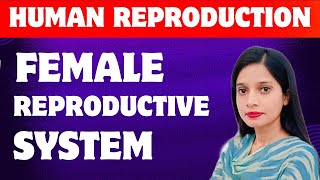 NEET 2026 | Human Reproduction L-2 | Female  Reproductive System | Class 12 | NCERT #neet