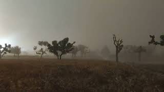 राजस्थान में आया भयंकर 🥺 तूफान