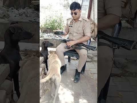 motivational #humanity #viralvideo #animals #dogs #trendingshorts #chiragraj7777