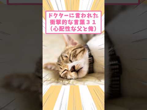 ドクターに言われた衝撃的な言葉31(心配症な父と俺) #猫 #猫のいる暮らし #猫動画 #ねこ #可愛い #ペット #かわいい #2ch