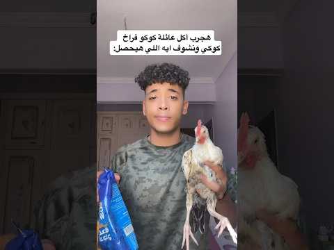 اكلت الفراخ بتاعتي كوكي صدموني 😰😂