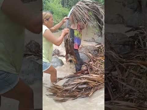 Paa sa ilog #funny