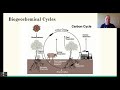 Exploring Biogeochemical Cycles