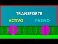 Exploring Active and Passive Transport in Cell Membranes