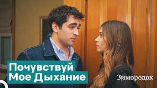 Давай Зажмемся По Углам И Будем Жить Нашей Любовью | Зимородок