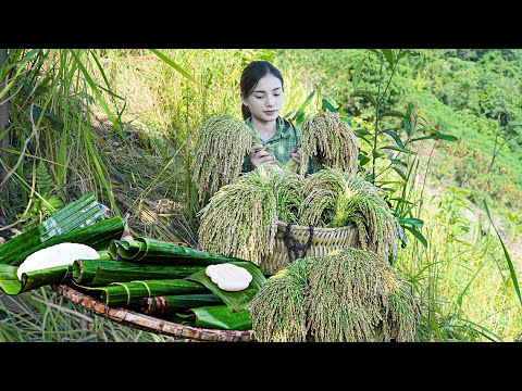 Upland rice, grape beans and banana leaves - Traditional handmade cakes