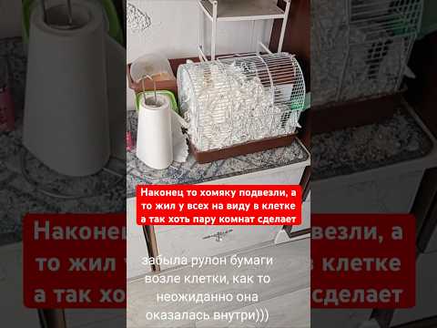 Наконец то хомяку подвезли стройматериалы, а то жил у всех на виду, а так хоть пару комнат сделает