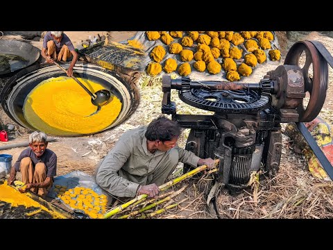 Nature’s Candy Factory: Turning Sugarcane into Jaggery Through Fire and Skill