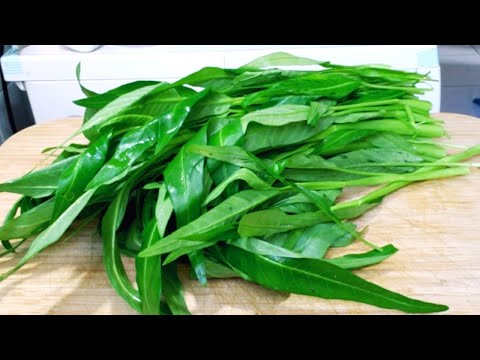 SAYA BARU TAHU! ENAK BANGET, KANGKUNG DIMASAK SEPERTI INI TETAP HIJAU DAN SEHAT