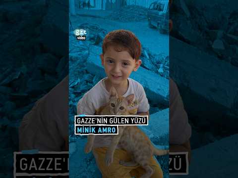 Kedisi ile hafızalara kazınan Gazzeli çocuk <strong>Amro</strong> kim?