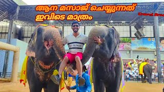 ഇവിടെ വന്നാൽ ആന മസാജ് ചെയ്ത് തരും #Thailand Nong nooch Village Ep18