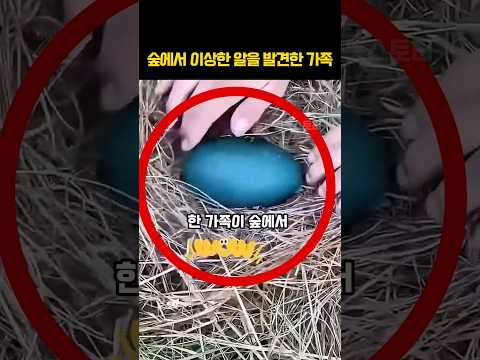 숲에서 가져온 알을 부화시킨 가족