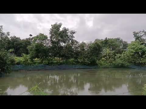 বাহ্মনবাড়িয়া দরখার গ্রাম ২০২৫