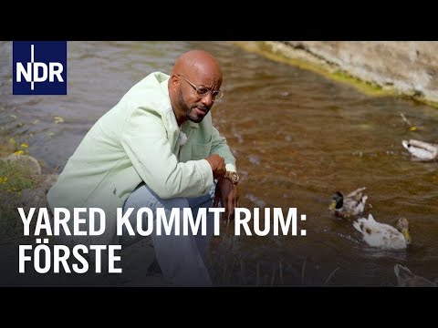 Dibaba erzählt Dorfgeschichten! Heute: Förste | Yared kommt rum | NDR Doku