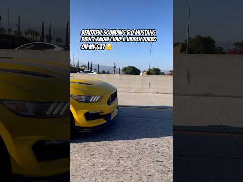 Beautiful 5.0 Mustang picks on the wrong turbo G37!