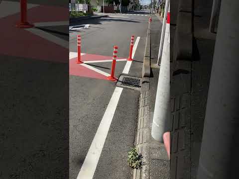【本末転倒な道路】急ハンドル、急ブレーキを促す危険な道路…自動車研究者ジャーナリスト会議の元理事の視点 その1