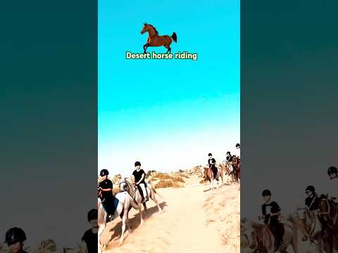 Desert horse riding Dubai #horse #horsetrack #horseriding #equestrian