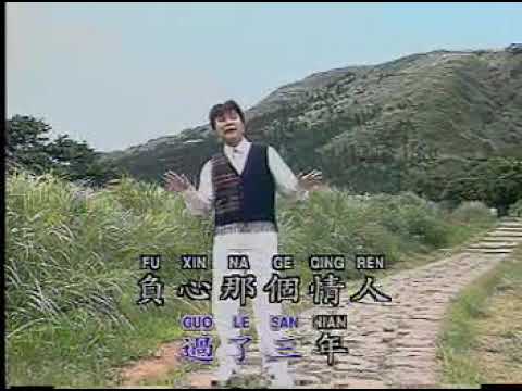 谢雷 梨山痴情花 伴奏