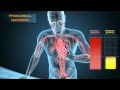Cardiac Energy Production and Ischemia