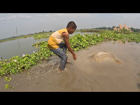 Amazing Boy Hand Fishing Video|Big Catch Fish By Hand| #catchfish #bigfish