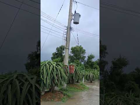 lịch sử 10/2025 đâu đâu cũng nước lũ #thanh vlog 2271