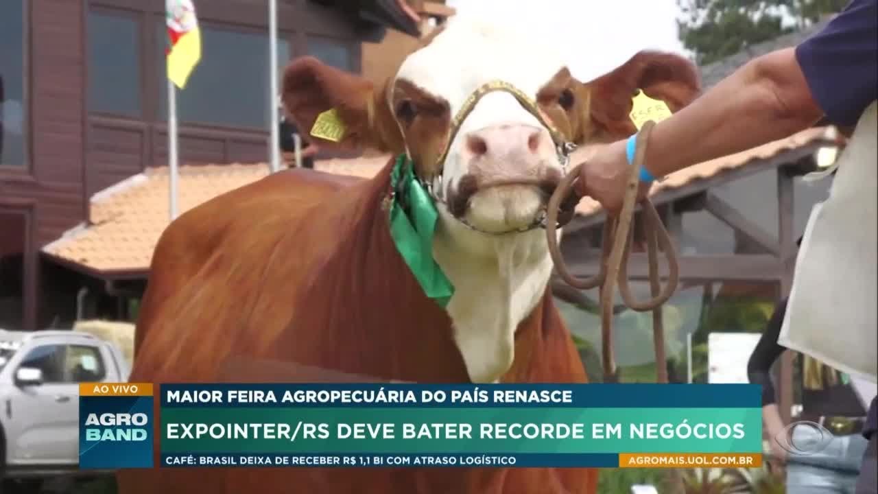Expointer RS volta após enchentes com previsão de recorde e visitantes emocionados