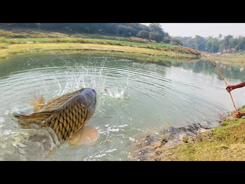 Best Fishing Video ~ Village Smart Boy Fishing With Hook ~ Traditional Hook Fishing