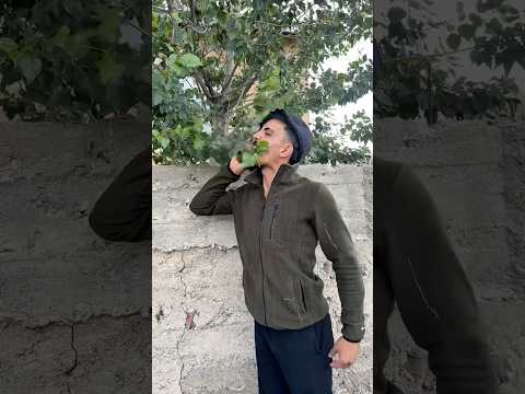 Siz bu sene köye gittiniz mi ?