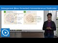 Bone Formation and Ossification Processes