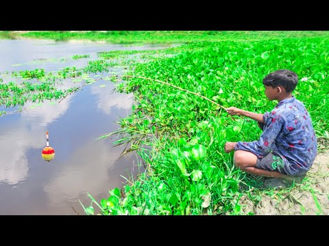 Best Fishing Video ~ Village Smart Boy Fishing With Hook ~ Traditional Hook Fishing