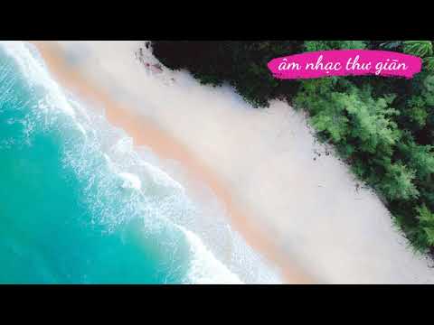 Tiếng sóng biển hòa quyện tiếng chim hót, âm thanh thư giãn tự nhiên, hết mệt mỏi Âm nhạc thư giãn