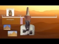 Ancient Egyptian History and Pharaohs