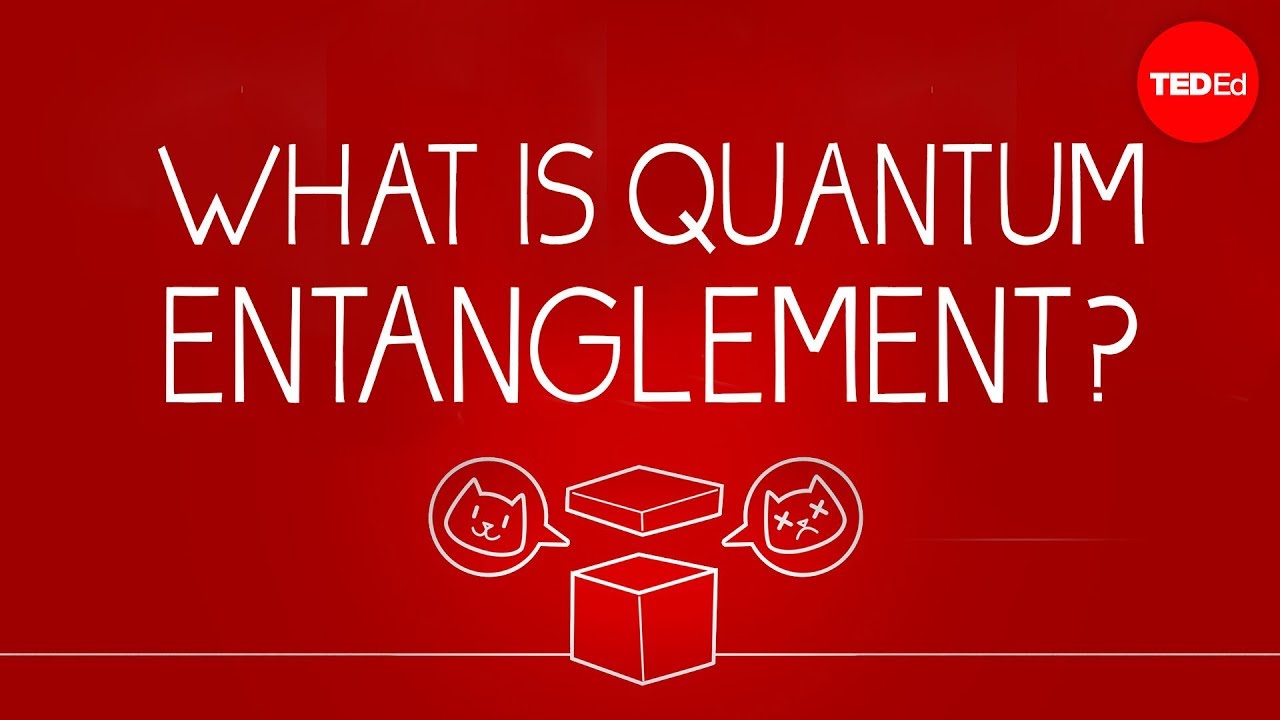 What can Schrdinger's cat teach us about quantum mechanics? - Josh Samani